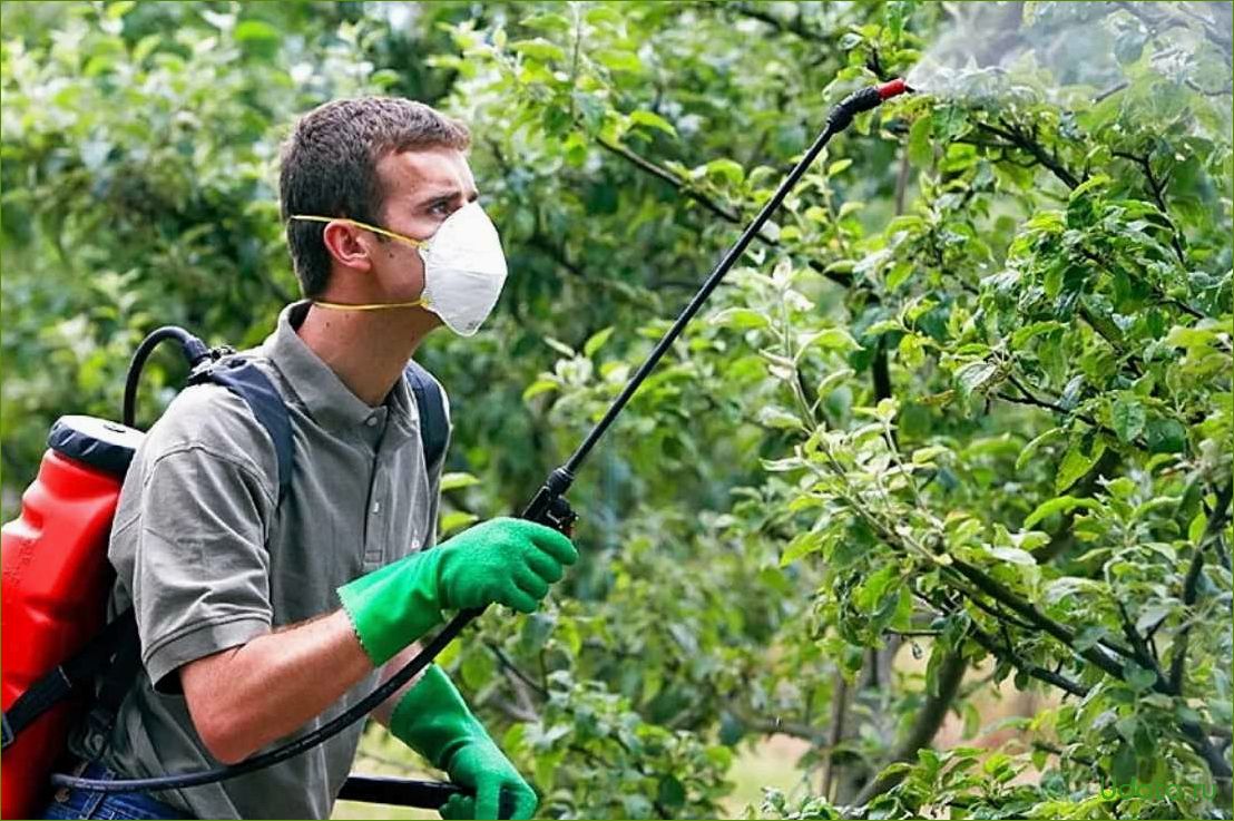 Борьба с насекомыми вредителями: эффективные способы защиты