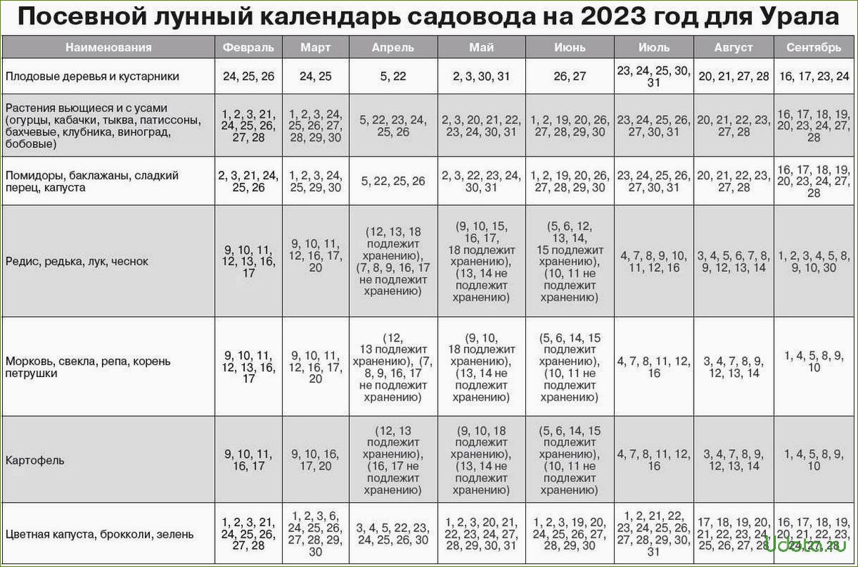 Выращивание рассады по лунному календарю 2024 года