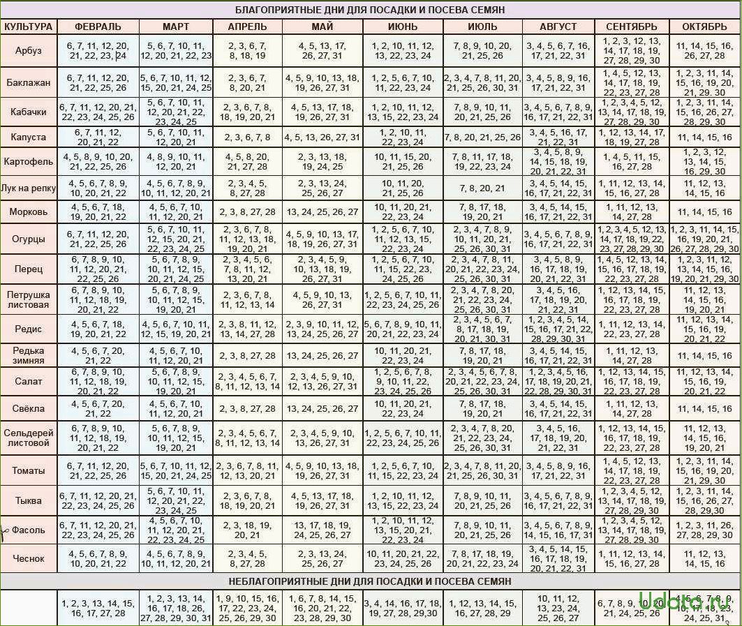 Удачный лунный календарь на февраль 2024 года. Лунный календарь на 2021 год садовода и огородника. Лунный календарь 2021 огородника. Календарь садовода лунный календарь 2021. Календарь огородника на 2022 лунный посевной.