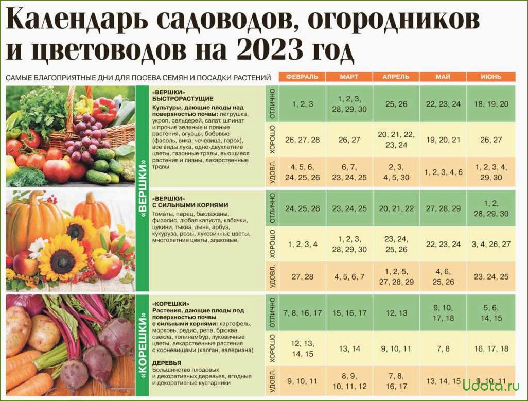 Календарь огородника сентябрь 2024г дачный лунный садовода