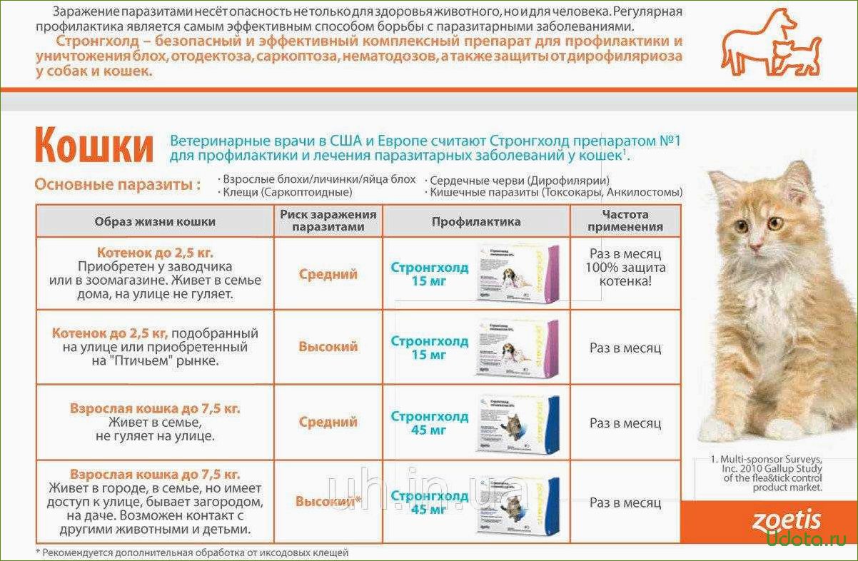 Лекарства для кошек: подготовка к выезду на дачу