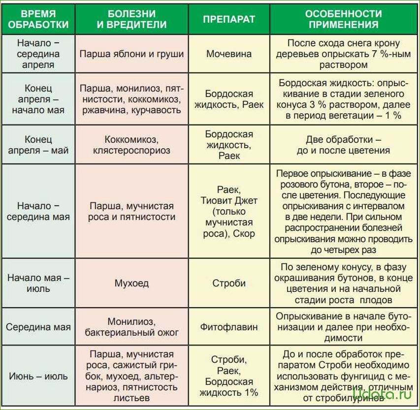 Обработка черешни от вредителей после цветения. Схема подкормки плодовых деревьев и кустарников. Схема обработки сада от вредителей. Обработка сада от вредителей и болезней. Схема обработки сада весной.