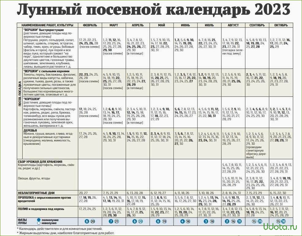 Лунный посевной календарь на 2024 год