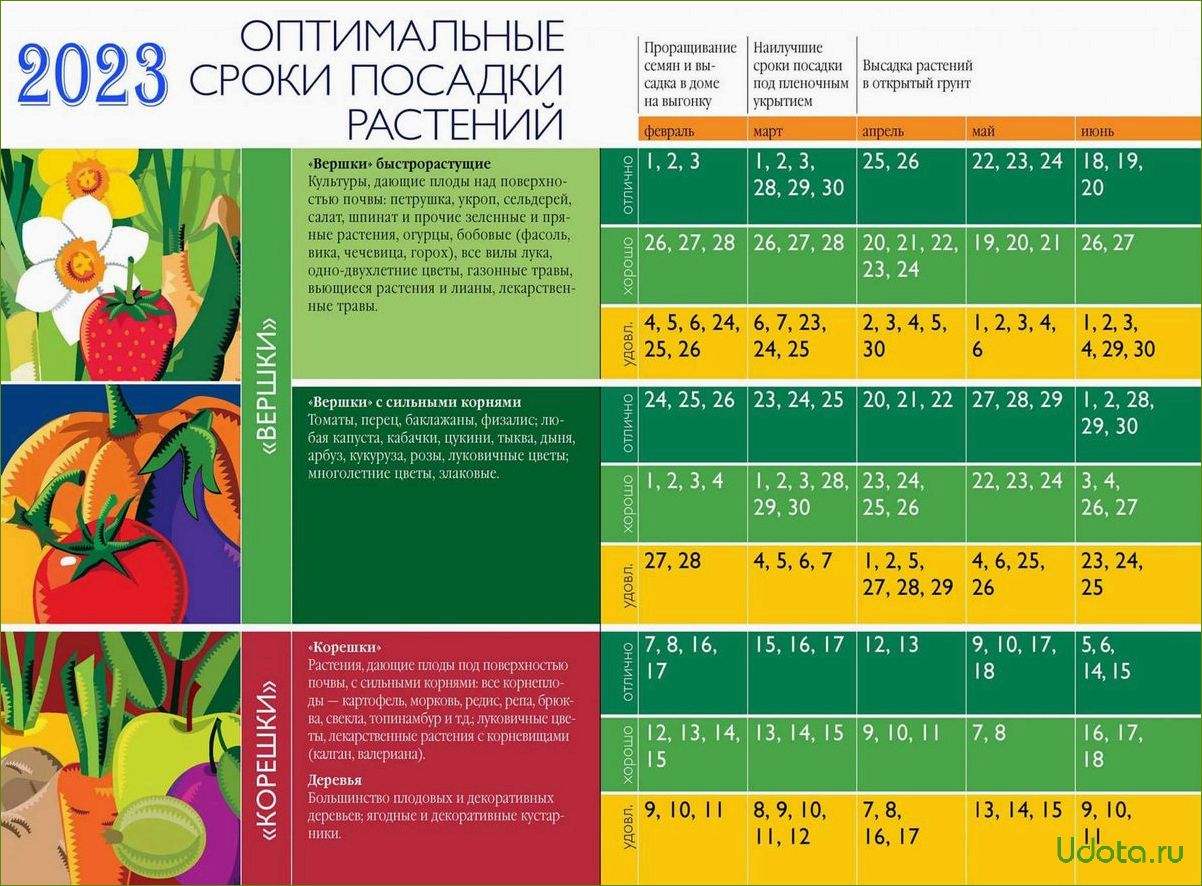 Лунный посевной календарь на 2024 год