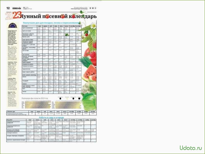 Лунный календарь на 2024г огородника урал. Посевной календарь на 2023. Посевной календарь на 2023 год. Лунный посевной календарь на 2023 год. Луна посевной календарь на 2023 год.