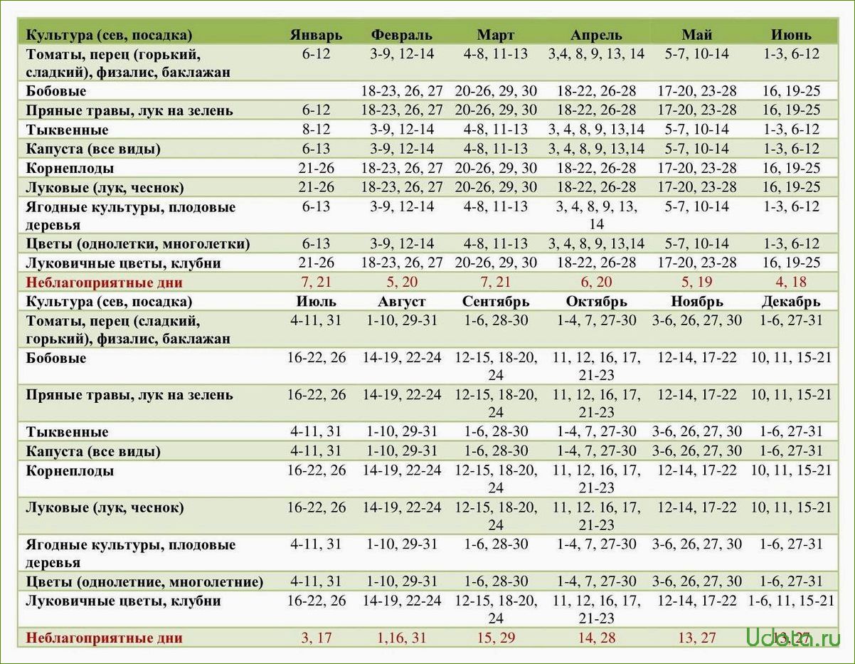 Лунный посевной календарь на 2024 год