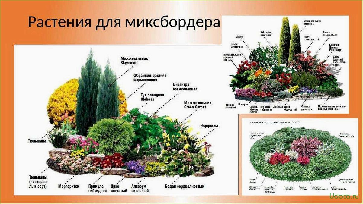 Миксбордер: планировка