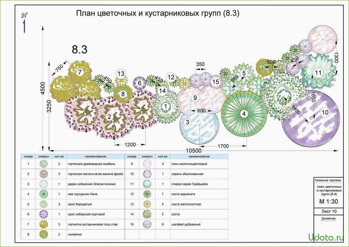 Миксбордер: планировка