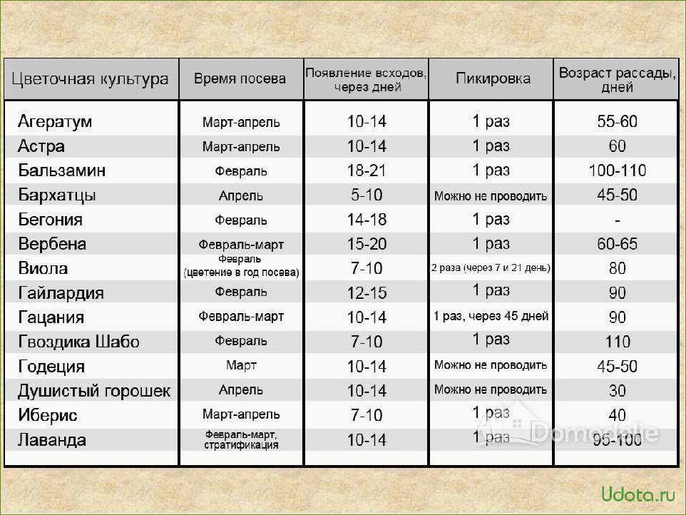 Посев семян цветов на рассаду и в цветник с января по май: шпаргалка цветовода