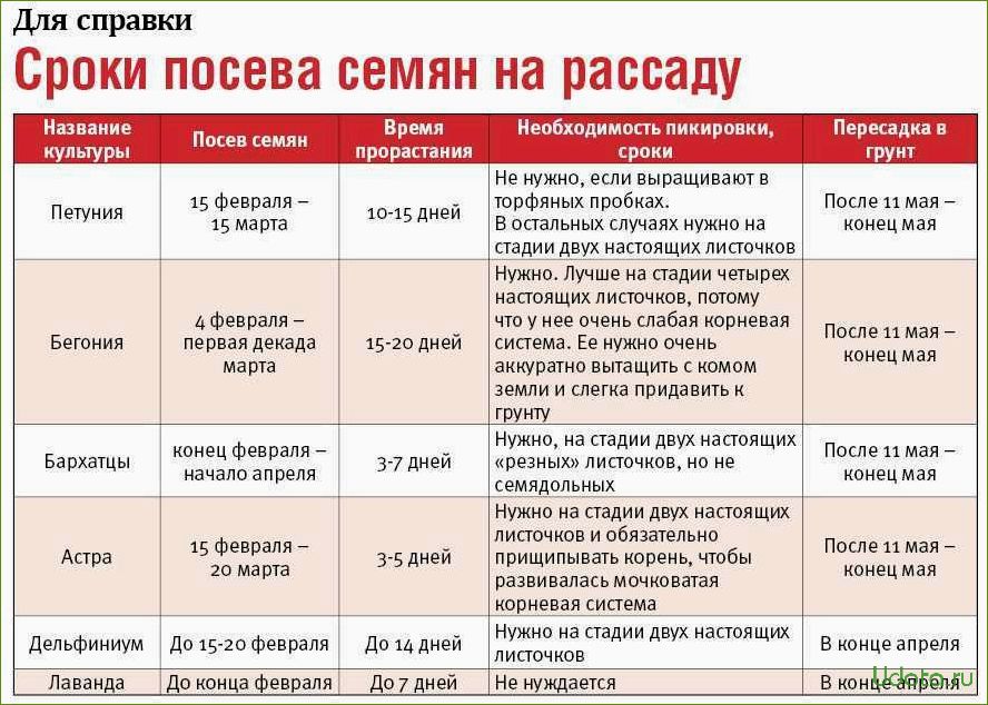 Посев семян цветов на рассаду и в цветник с января по май: шпаргалка цветовода