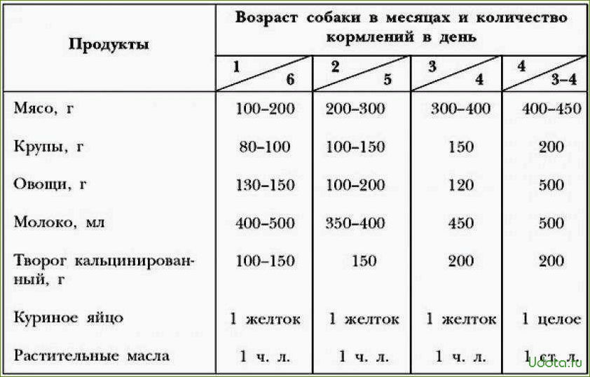 Овчарка 1 месяц чем кормить. Таблица кормления щенка немецкой овчарки. Рацион кормления щенка немецкой овчарки 1.5 месяца. Сколько корма дать щенку овчарки 2 месяца. Рацион питания щенка немецкой овчарки в 1 мес.