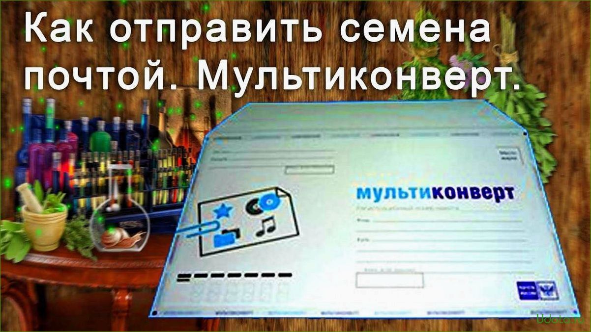 Как отправлять семена почтой