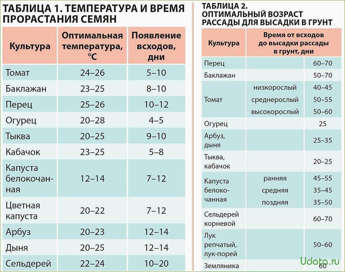 Как сеять семена огурцов в теплице. Температура посадки семян в открытый грунт. Температура высадки рассады в открытый грунт. Возраст рассады для высадки в грунт. Температура проращивания семян томатов.