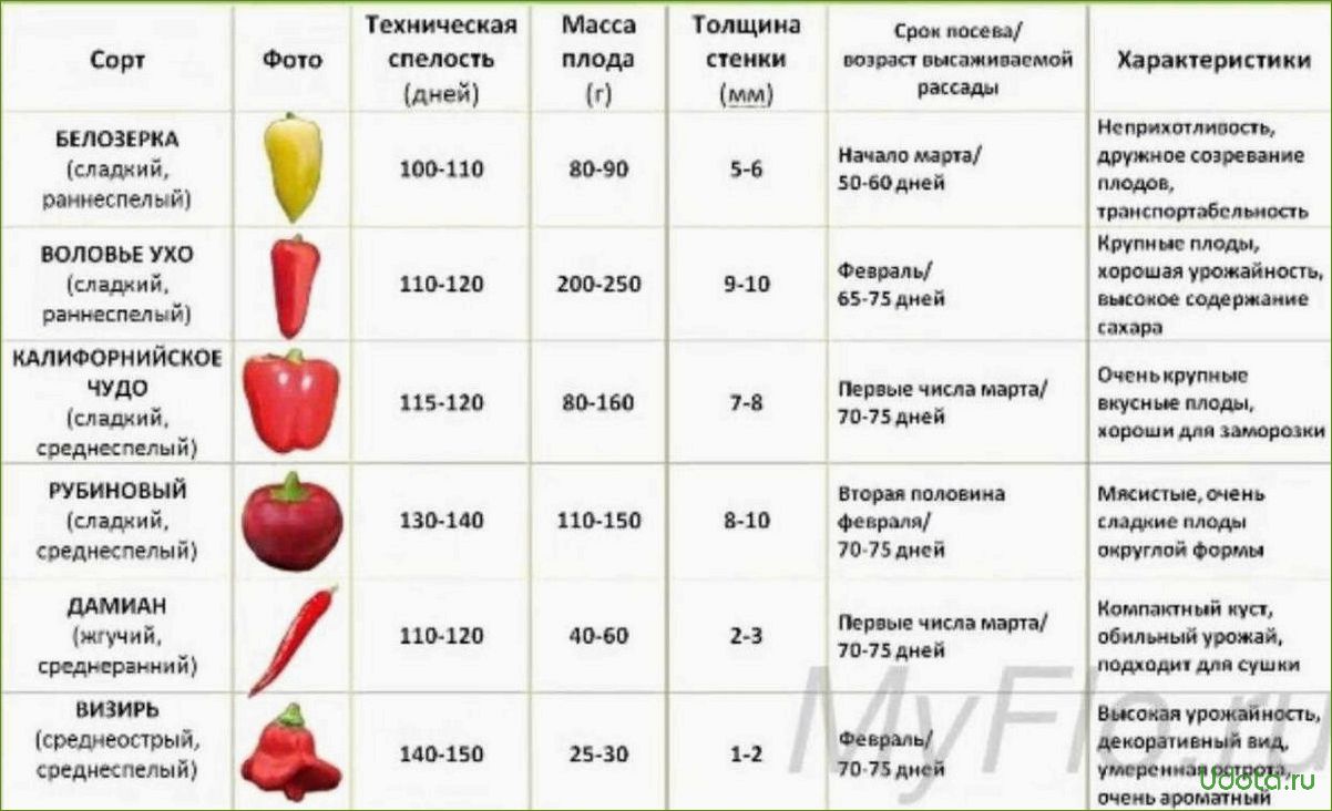 Как сохранить рассаду до высадки в грунт?