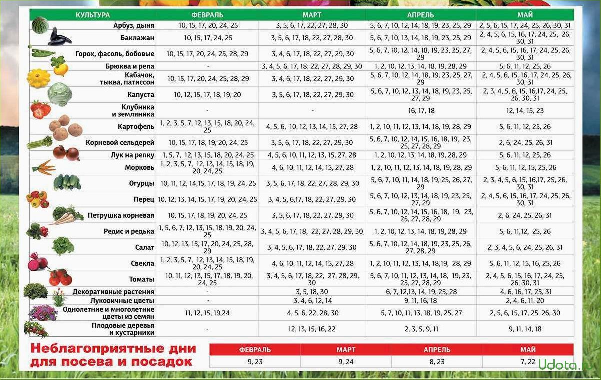 Посевной календарь на 2020 года таблица Картинки В КАКИЕ ДНИ МОЖНО ПЕРЕСАЖИВАТЬ РАССАДУ ПОМИДОР