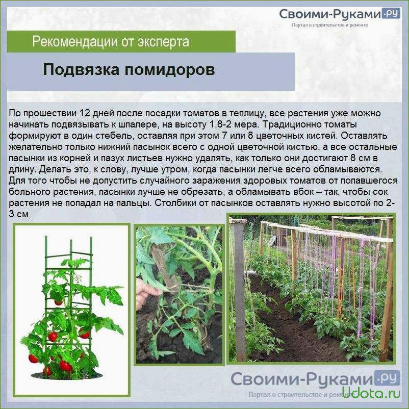 Как ухаживать за помидорами в грунте. Схема подвязки помидоров в открытом грунте. Подвязка высокорослых помидоров. Подвязка томатов в теплице схема. Подвязка огурцов и помидоров.