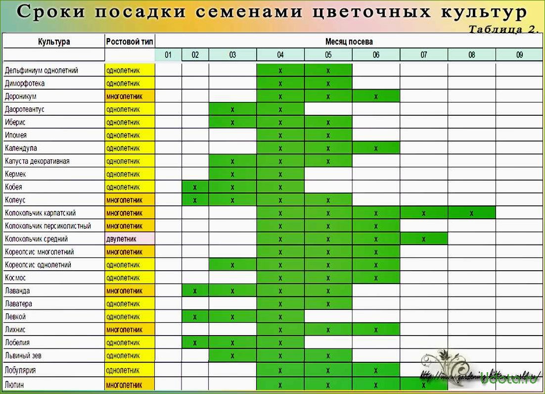 Какие цветы и когда уже пора сеять на рассаду