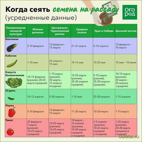 Какие старые семена можно выкинуть, а какие посеять: советы опытных огородников