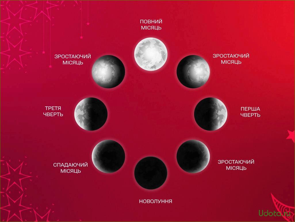 Лунный календарь 2024 года: оптимальные даты для посева семян баклажанов на рассаду