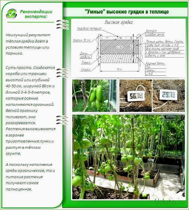 Сохранение плодородия почвы в тепличных грядках: эффективные правила и рекомендации