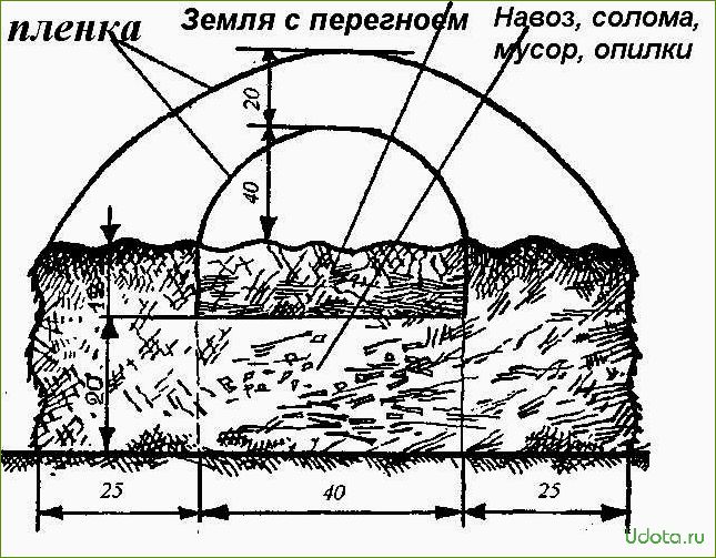 Сохранение плодородия почвы в тепличных грядках: эффективные правила и рекомендации