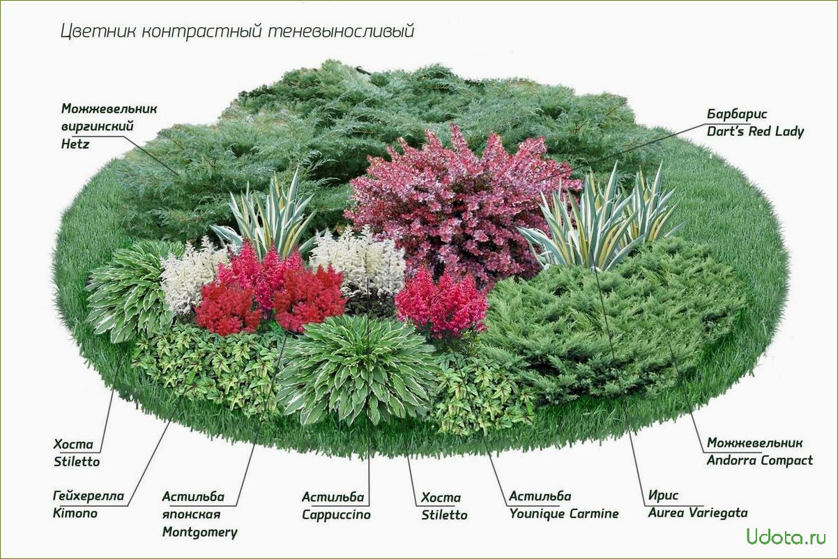 Как создать цветник с 