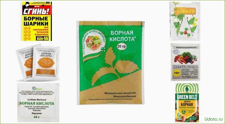 Как прогнать садовых муравьев навсегда: топ-5 рецептов с борной кислотой