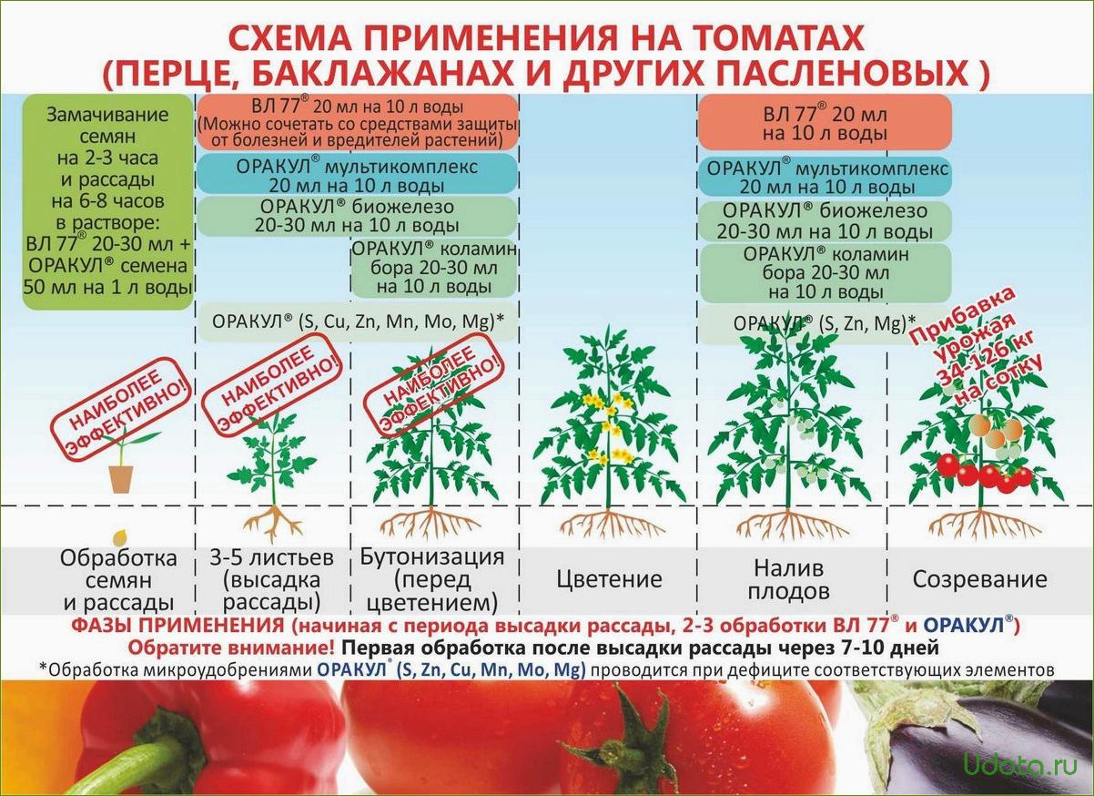 Как вырастить помидор весом 1,5 кг и более? Секреты выращивания крупноплодных томатов