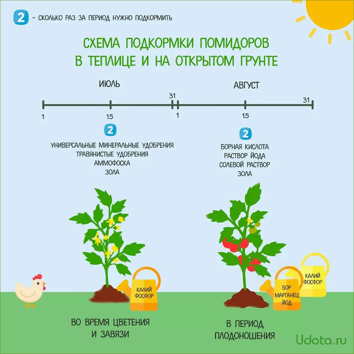 Как вырастить помидор весом 1,5 кг и более? Секреты выращивания крупноплодных томатов