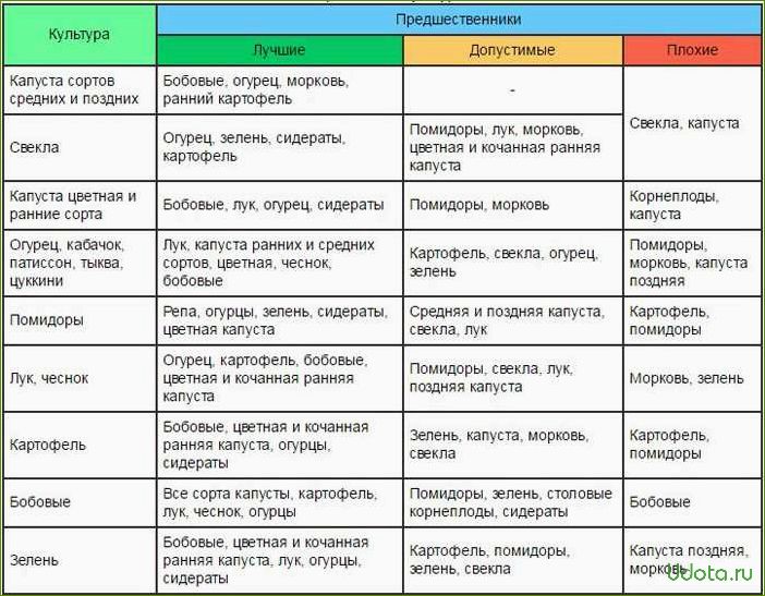 Можно ли сажать помидоры и огурцы, и что можно сажать до и после помидоров