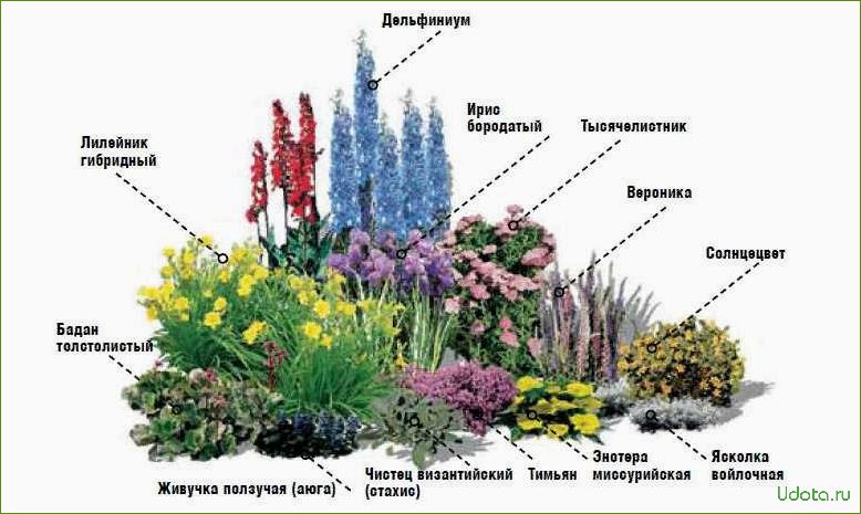 Оформление клумбы из многолетников, цветущих все лето