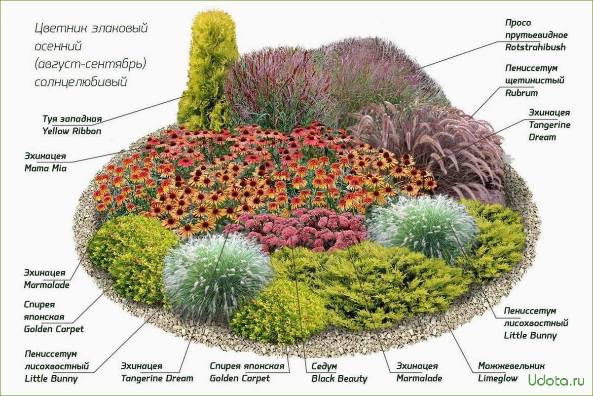 Оформление клумбы из многолетников, цветущих все лето