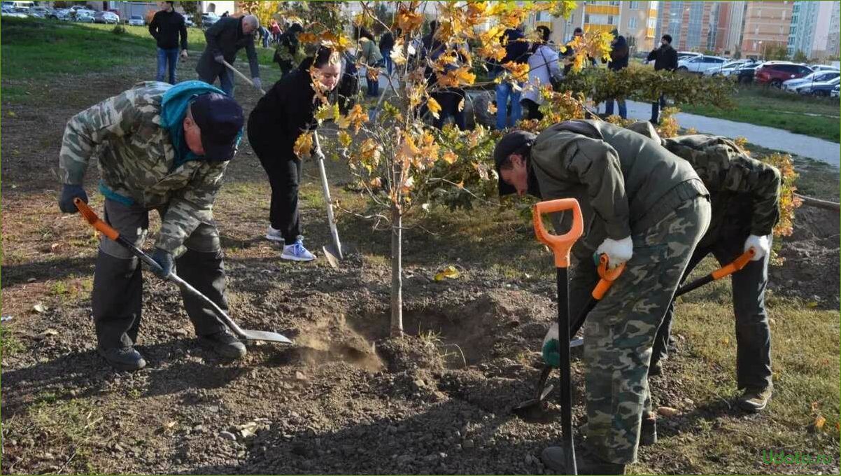 Осенняя посадка деревьев, кустарников и цветов