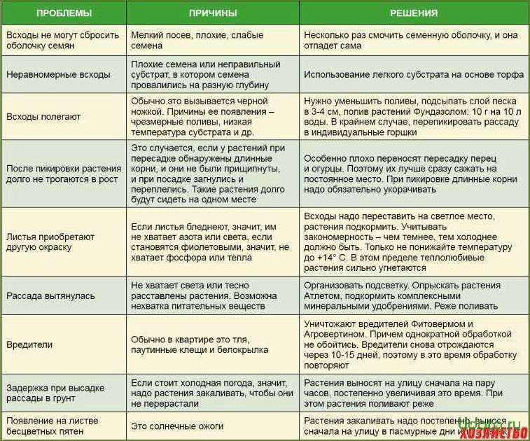 Выращивание рассады: ошибки слишком ранних подкормок