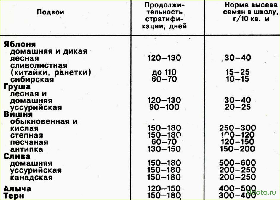 Стратификация семян многолетников: преимущества и методы