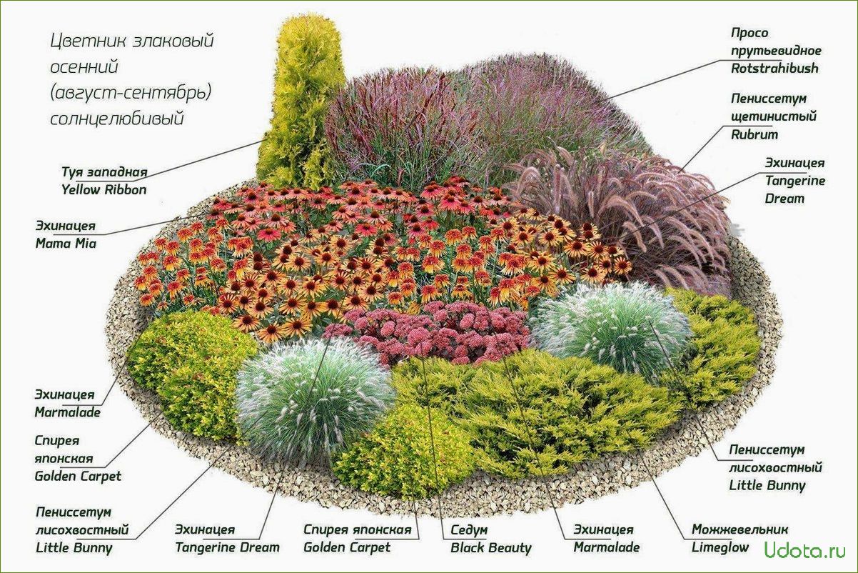 Формирование клумбы