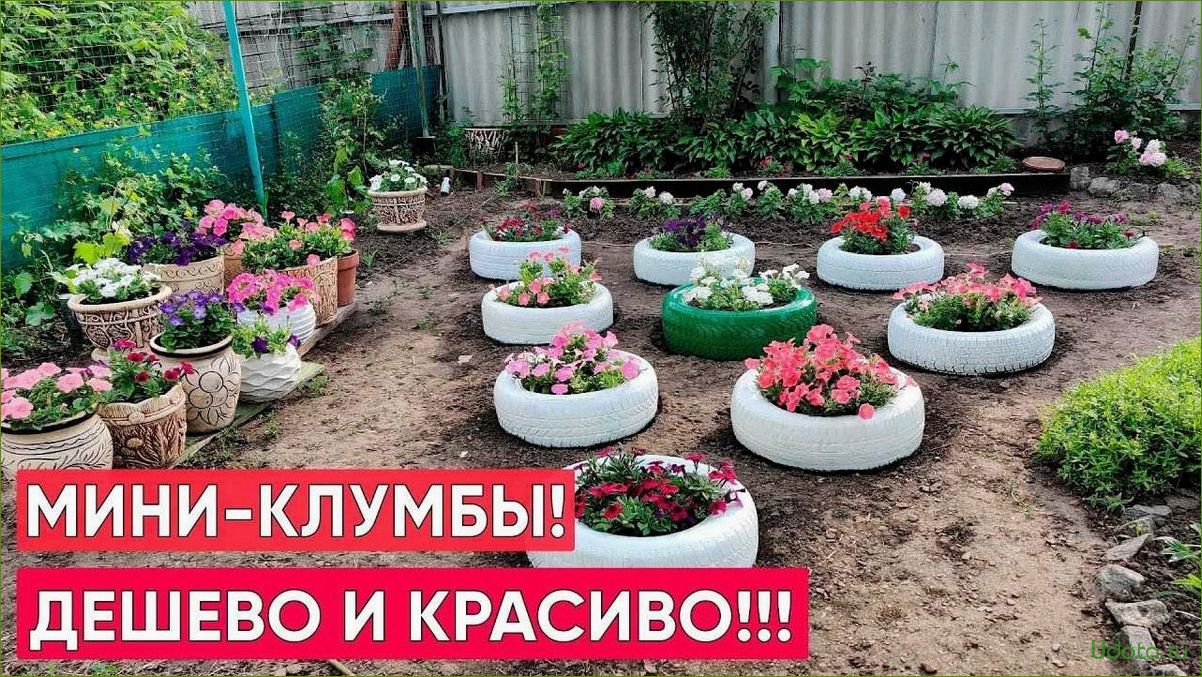 Законы создания цветников: красота без жертв