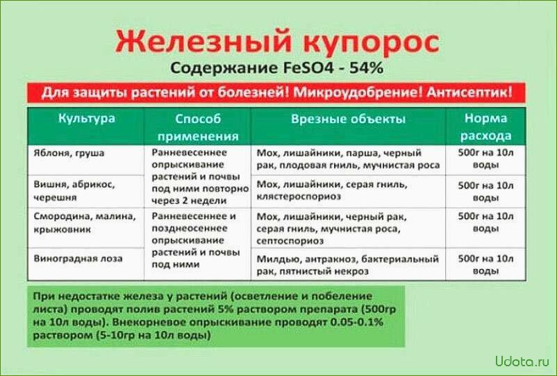 Как использовать купорос в саду: советы и рекомендации