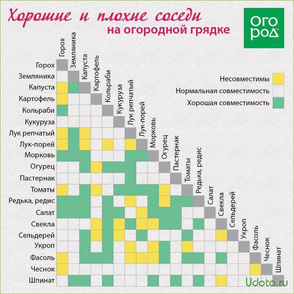 Какие цветы не рекомендуется сажать в огороде