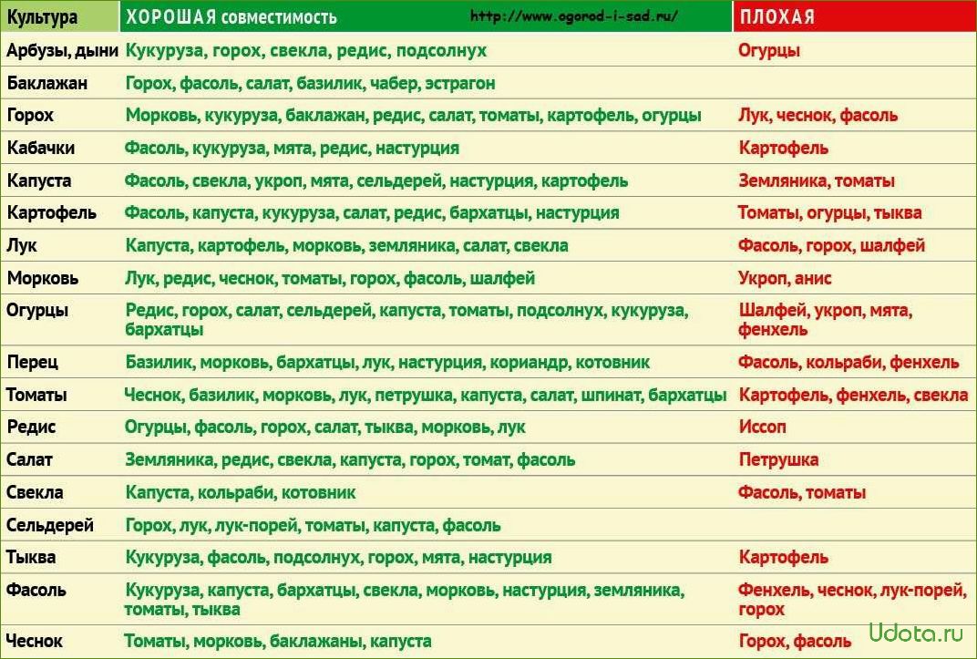 Какие цветы не рекомендуется сажать в огороде