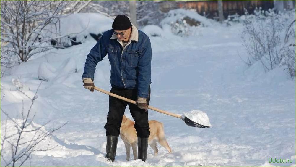 Огород: сезонные работы в январе