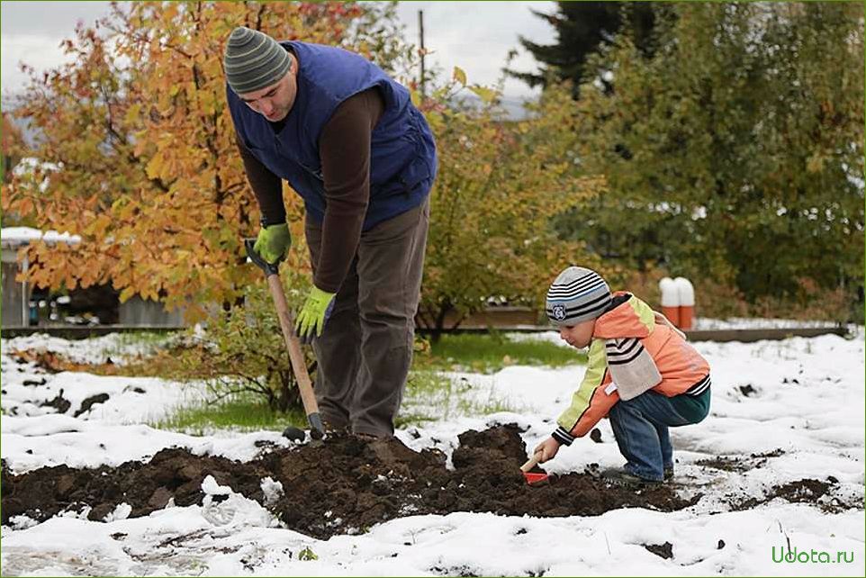 Огород: сезонные работы в январе