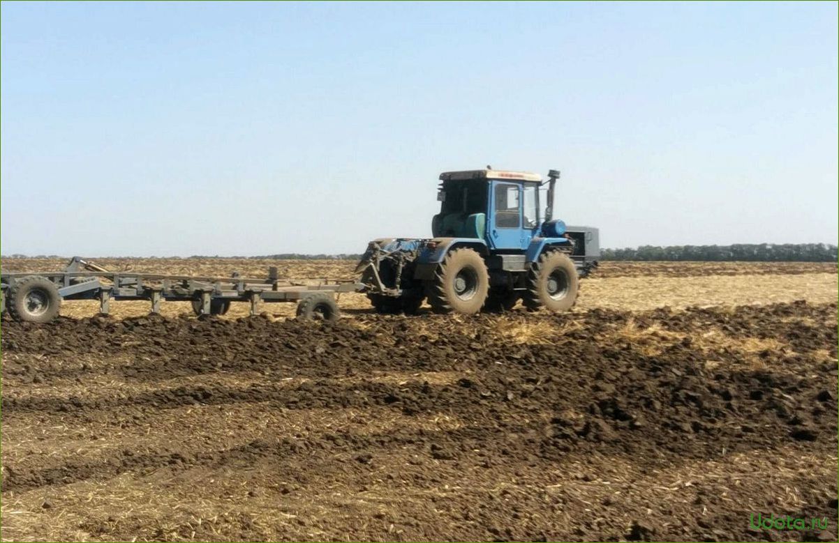 Преимущества подзимнего сева