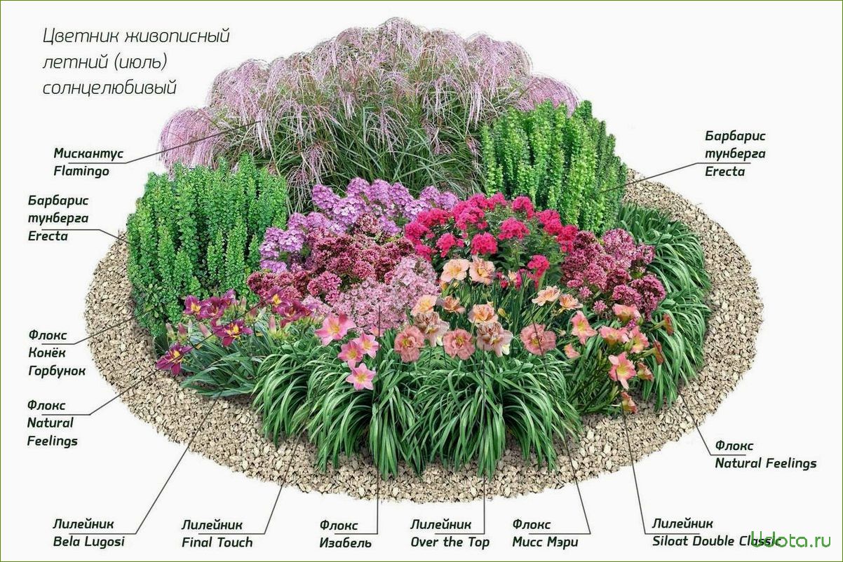 Как разместить в саду цветущие многолетники