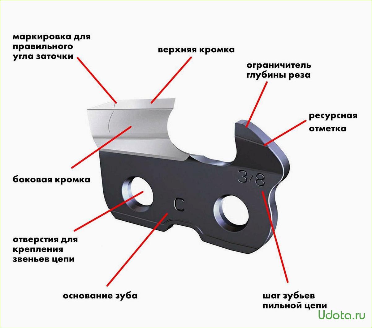 Как заточить цепь для пилы своими руками