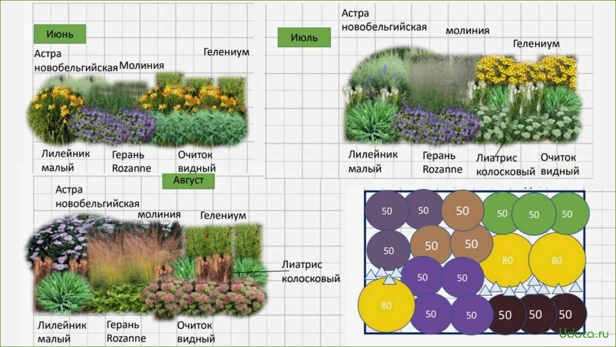 Календарь цветения садовых цветов с апреля по октябрь: составляем цветник непрерывного цветения