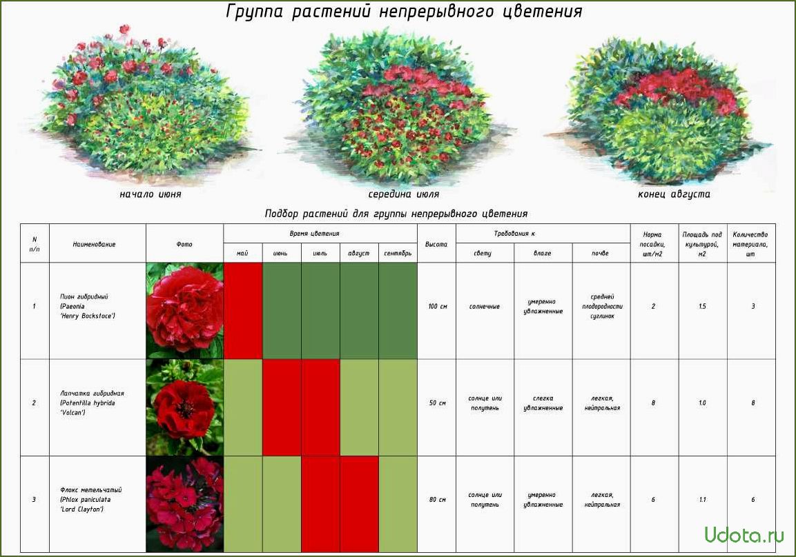Календарь цветения садовых цветов с апреля по октябрь: составляем цветник непрерывного цветения