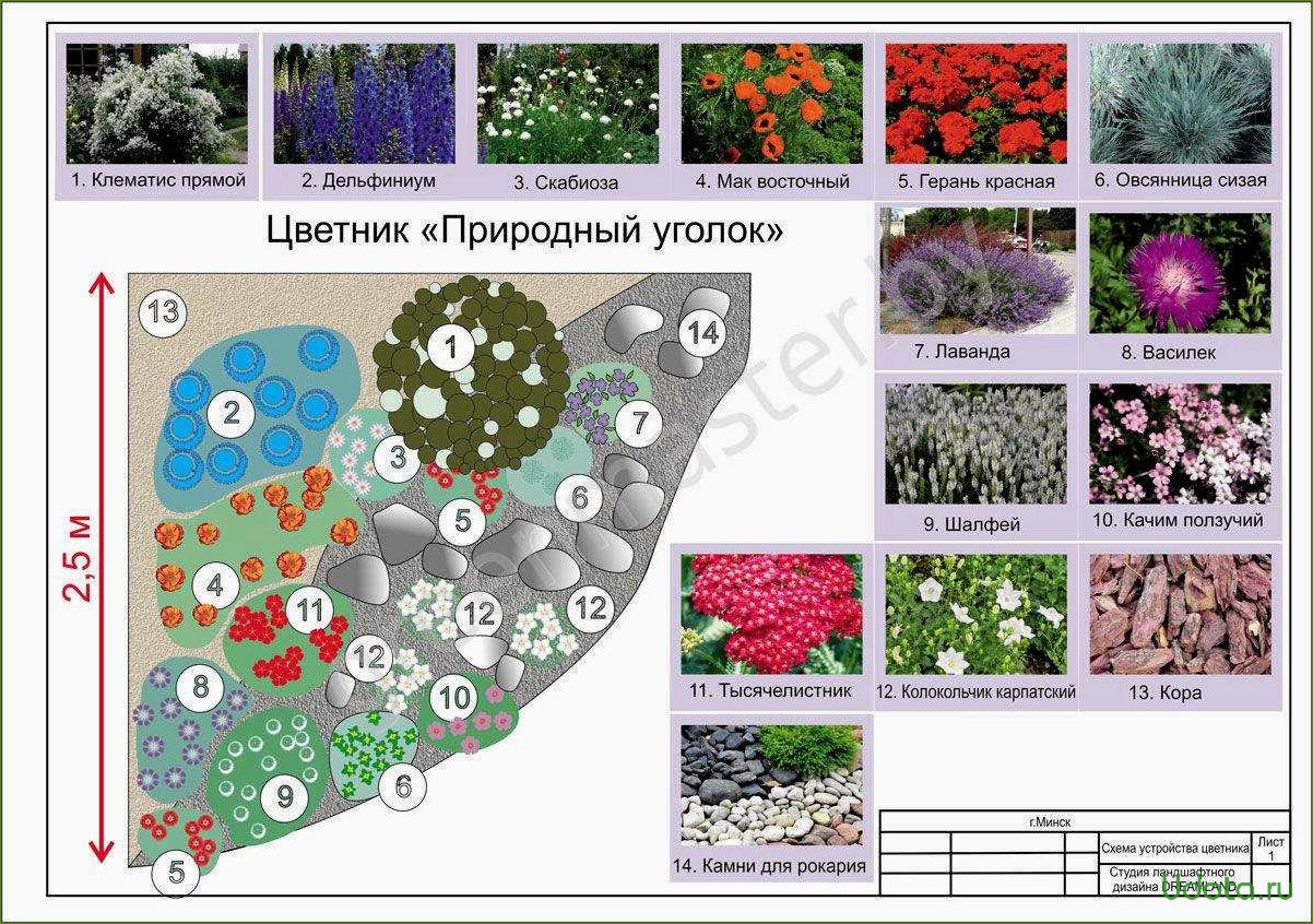 Миксбордер: определение и правила создания