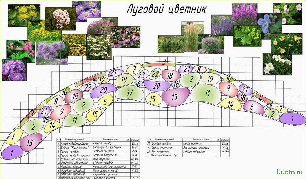 Миксбордер: определение и правила создания