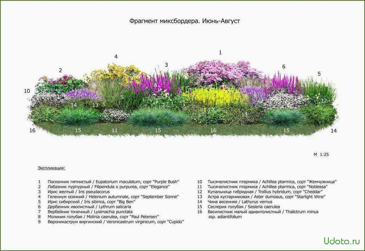 Миксбордер: определение и правила создания